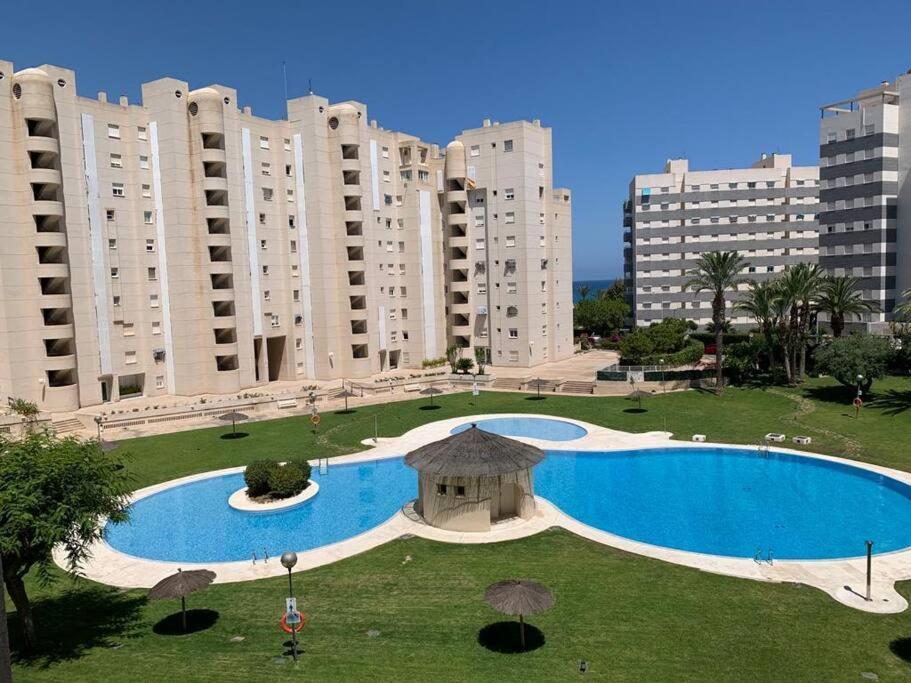 Apartamento - Playa El Campello Urbanizacion Jardin Del Mar Екстериор снимка
